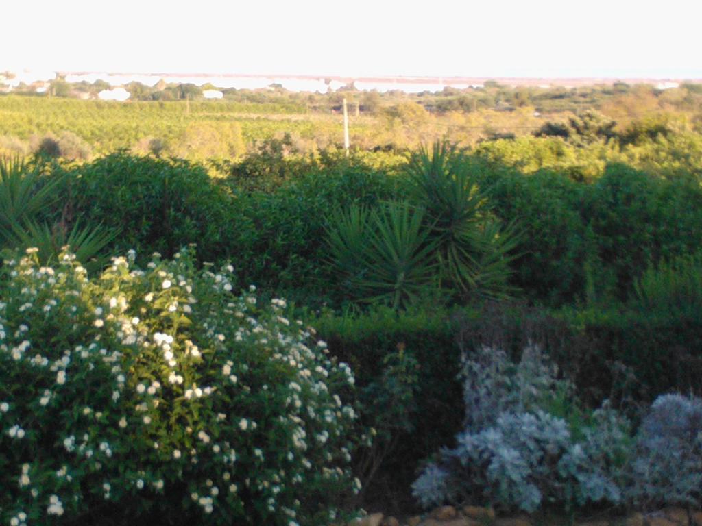 Quinta Da Moura Casa-De-Campo Affittacamere Tavira Esterno foto