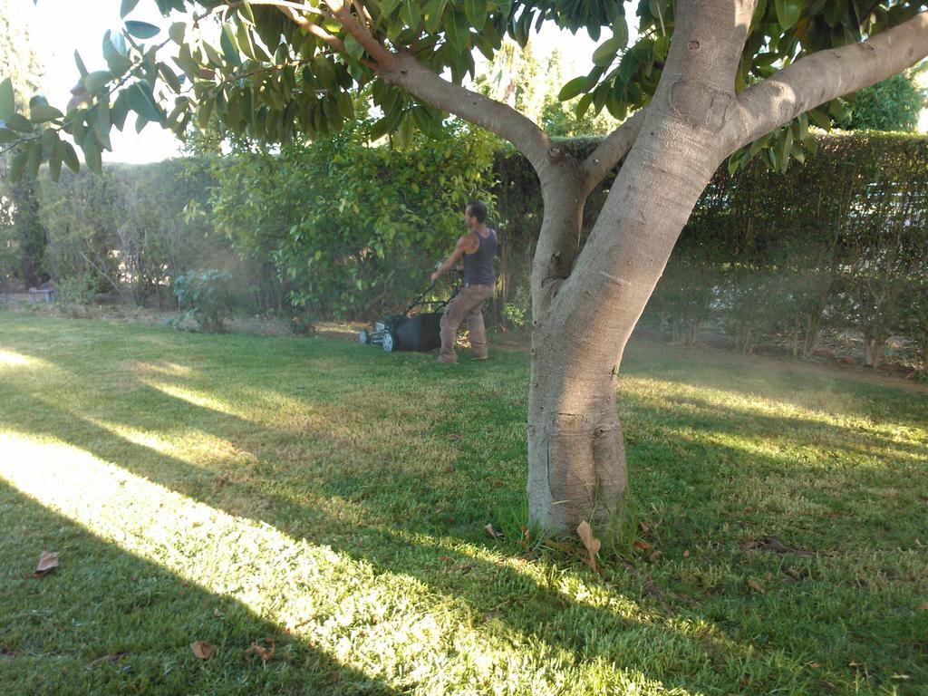 Quinta Da Moura Casa-De-Campo Affittacamere Tavira Esterno foto