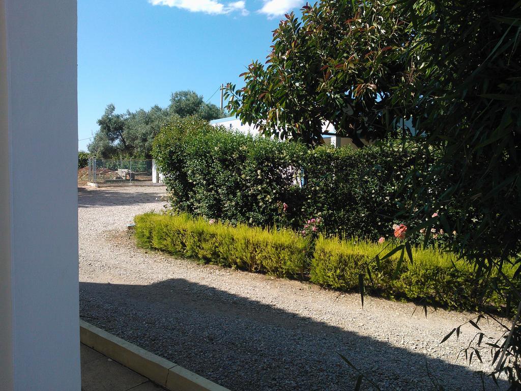Quinta Da Moura Casa-De-Campo Affittacamere Tavira Esterno foto