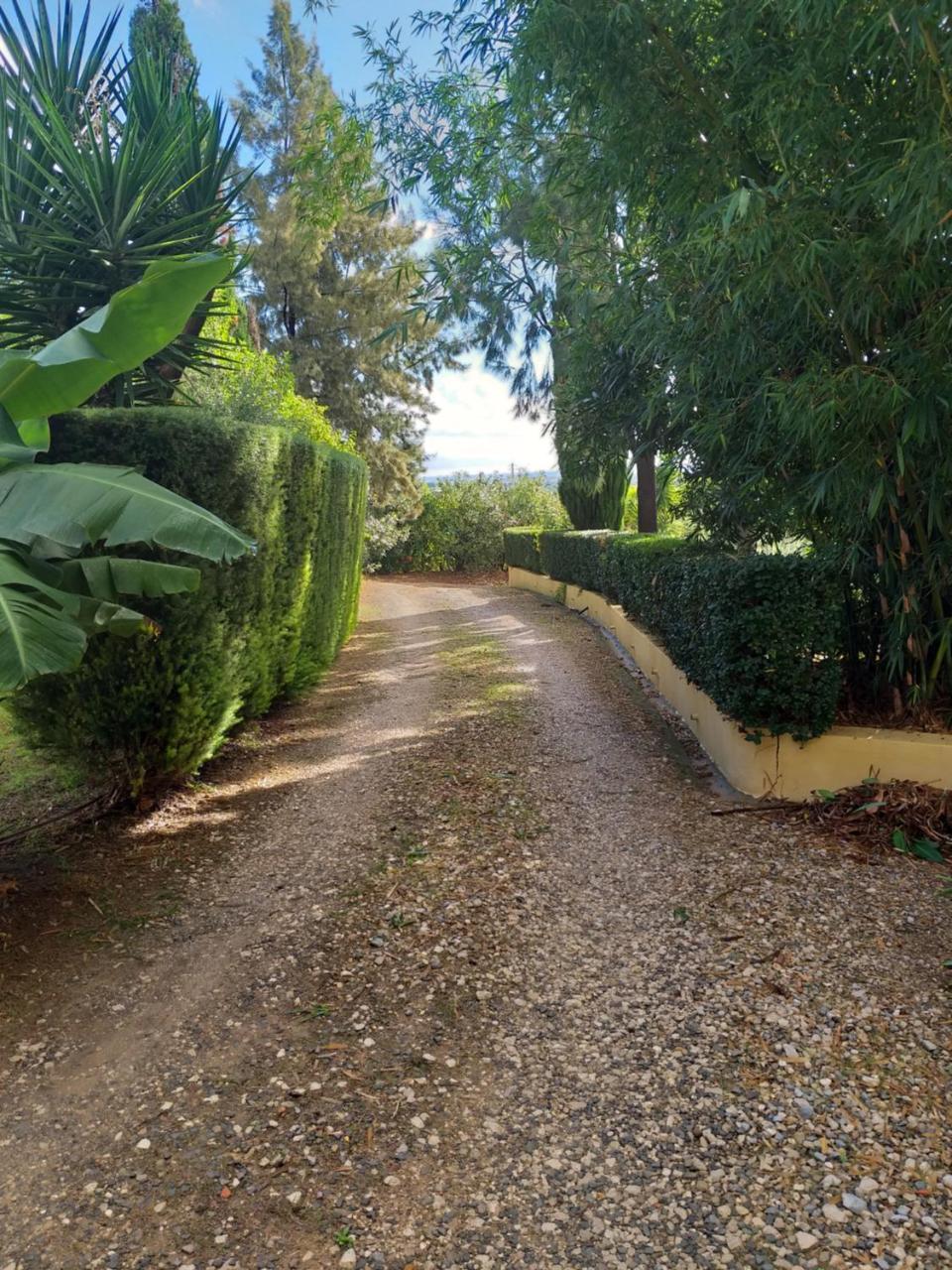 Quinta Da Moura Casa-De-Campo Affittacamere Tavira Esterno foto