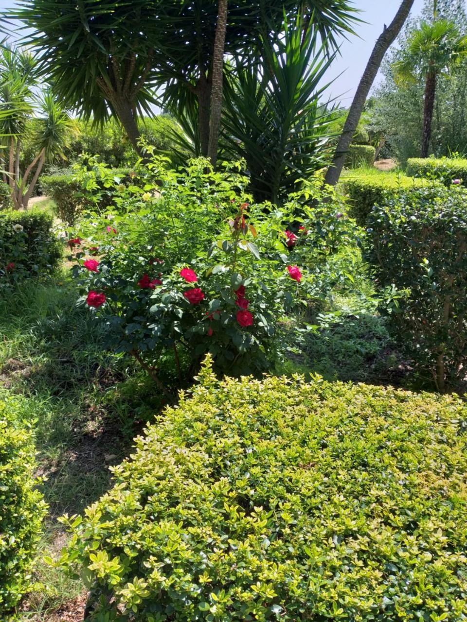 Quinta Da Moura Casa-De-Campo Affittacamere Tavira Esterno foto