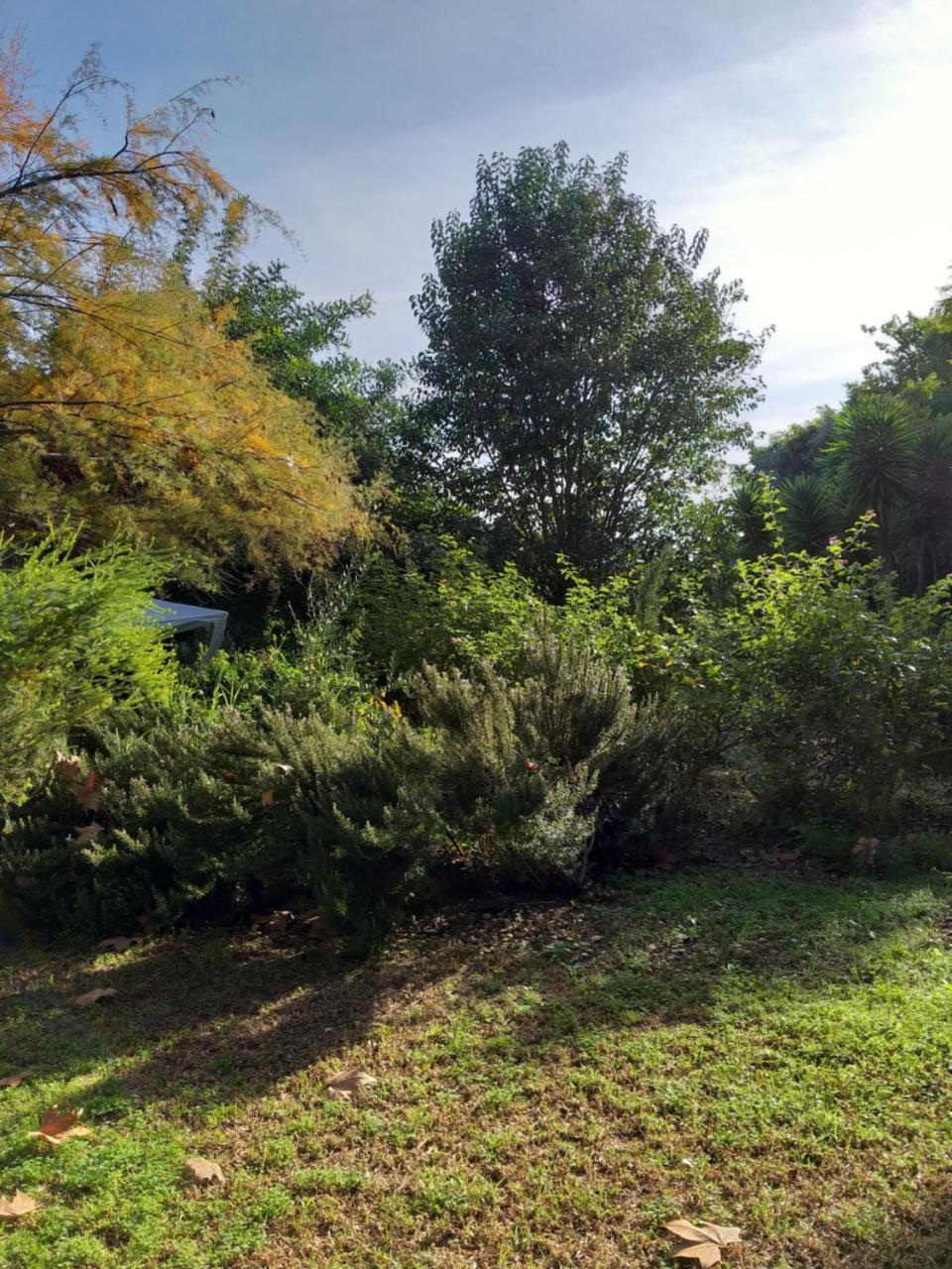 Quinta Da Moura Casa-De-Campo Affittacamere Tavira Esterno foto